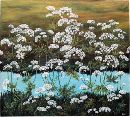 Влас Галина Владимировна. Белые цветы (сныть) у воды